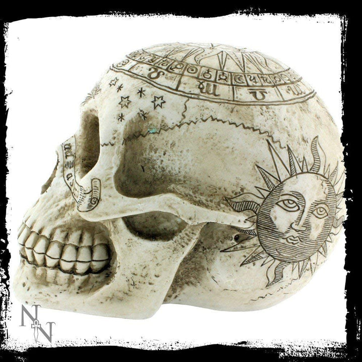 Nemesis Now Astrological Skull Figurine 29cm Ivory