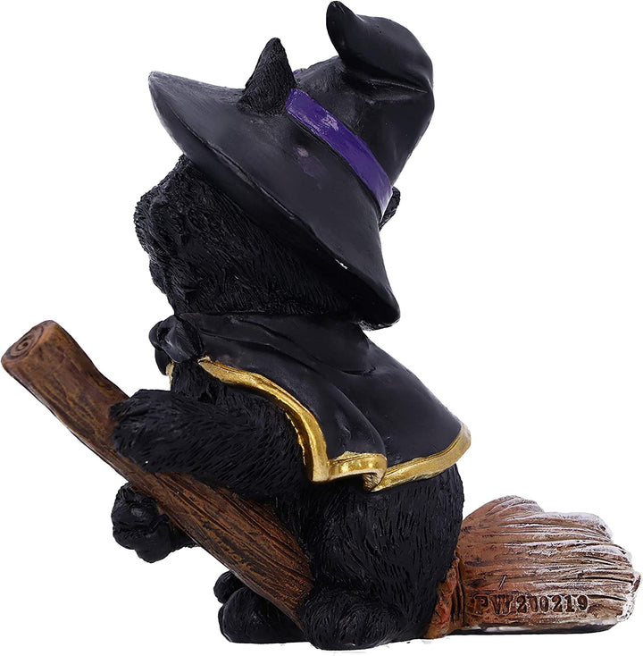 Nemesis Now Tabitha Small Witches Familiar Black Cat and Broomstick Figurine, 11