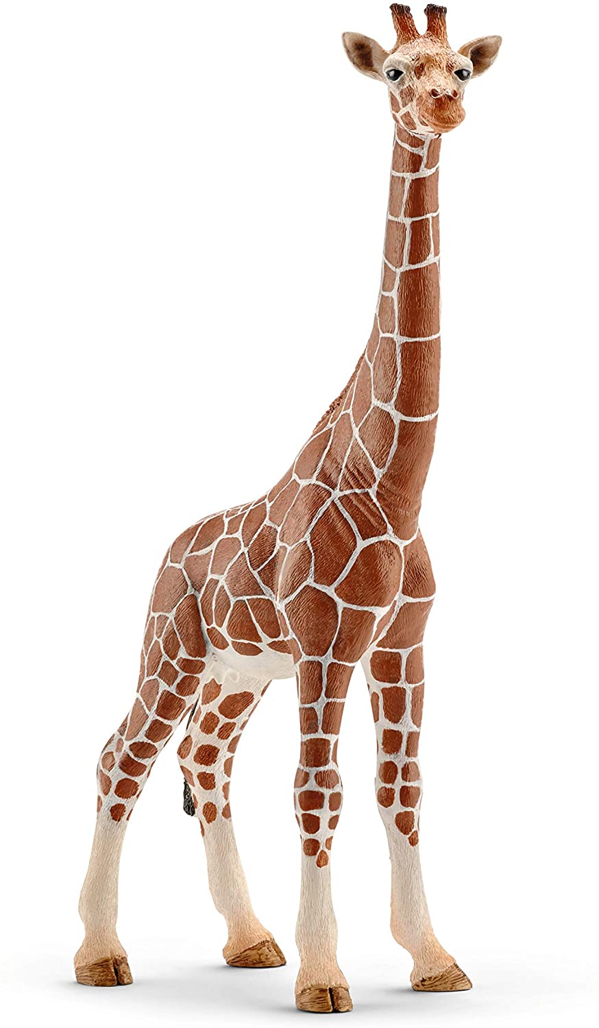 Schleich 147 50 147 50 - Vie sauvage de la g girafe
