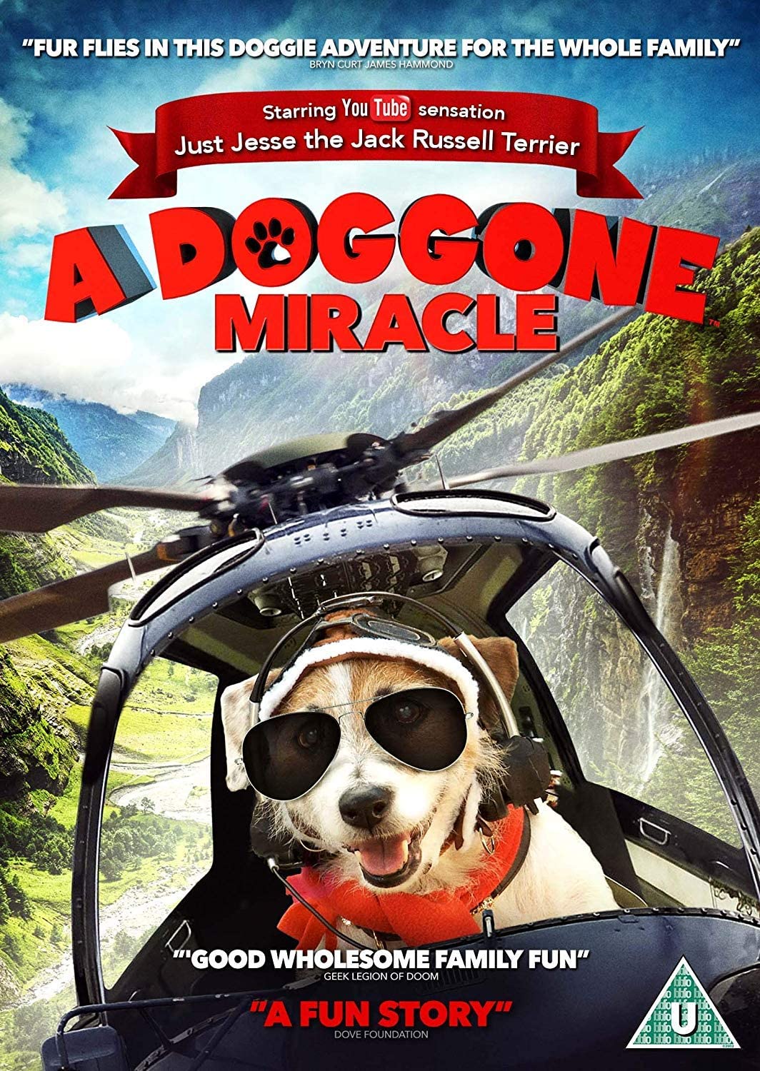 A Doggone Miracle [DVD]