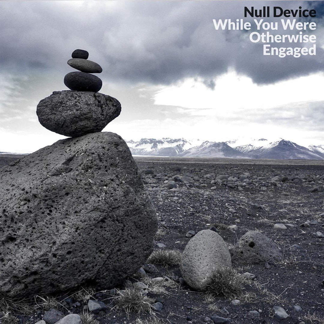 Null Device - While You Were Otherwise Engaged [Audio CD]