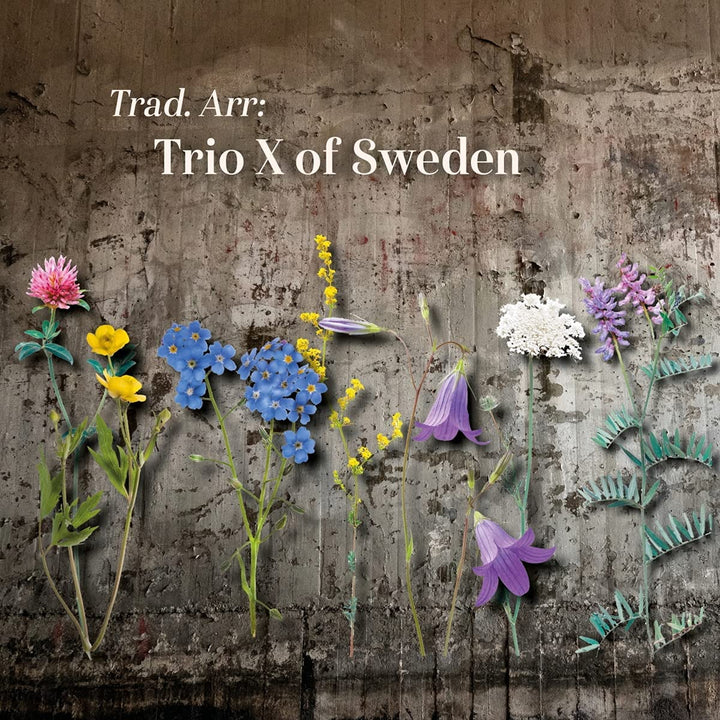 Trad. Arr: Trio X of Sweden [Prophone: P 251] [Audio CD]