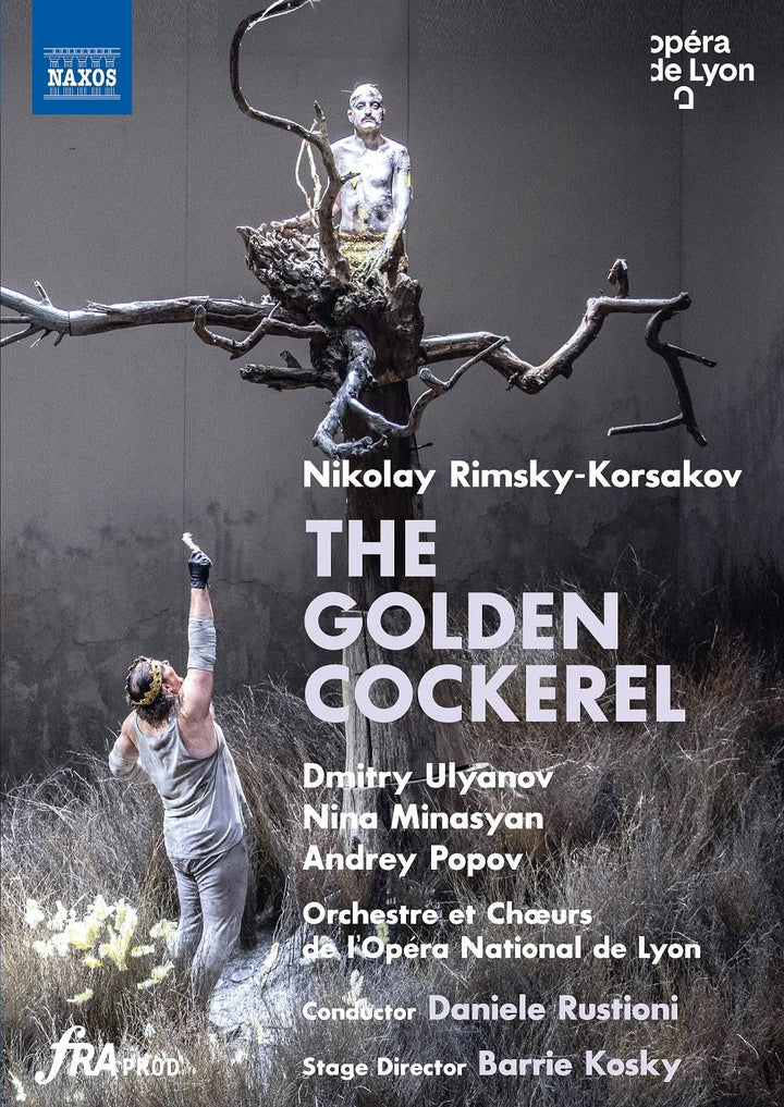 Korsakov: The Golden Cockerel [Various] [Naxos: 2110731]  [2022] [DVD]