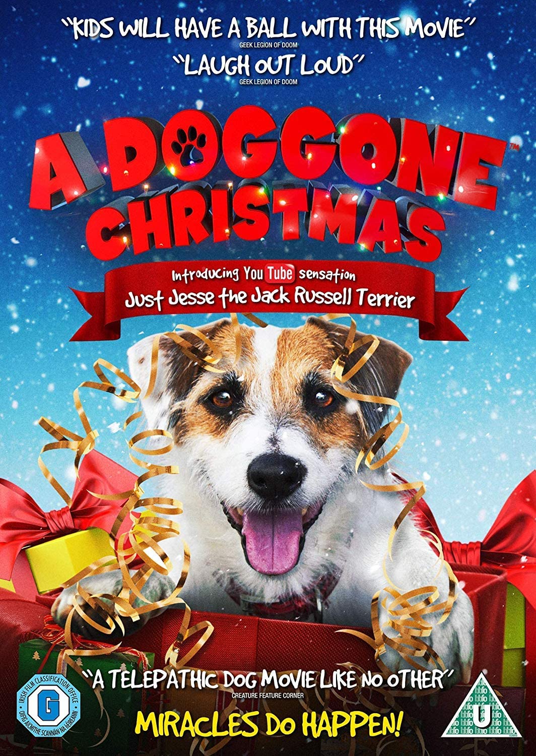 A Doggone Christmas - Family [DVD]