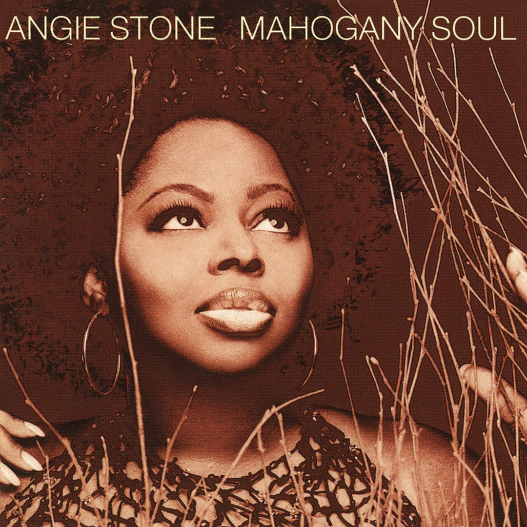 Angie Stone - Mahogany Soul [Audio CD]