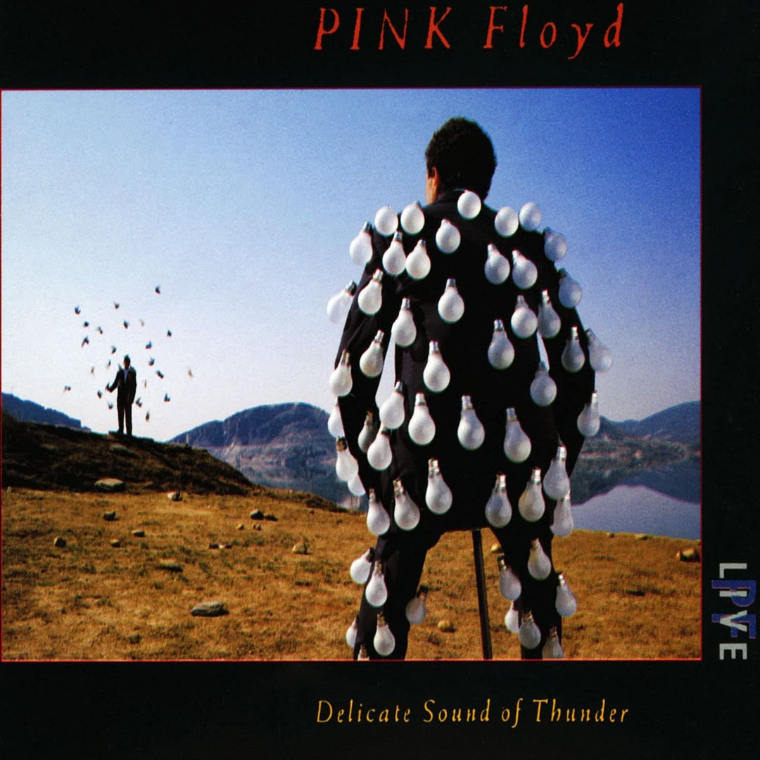 Pink Floyd - Delicate Sound Of Thunder [Audio CD]