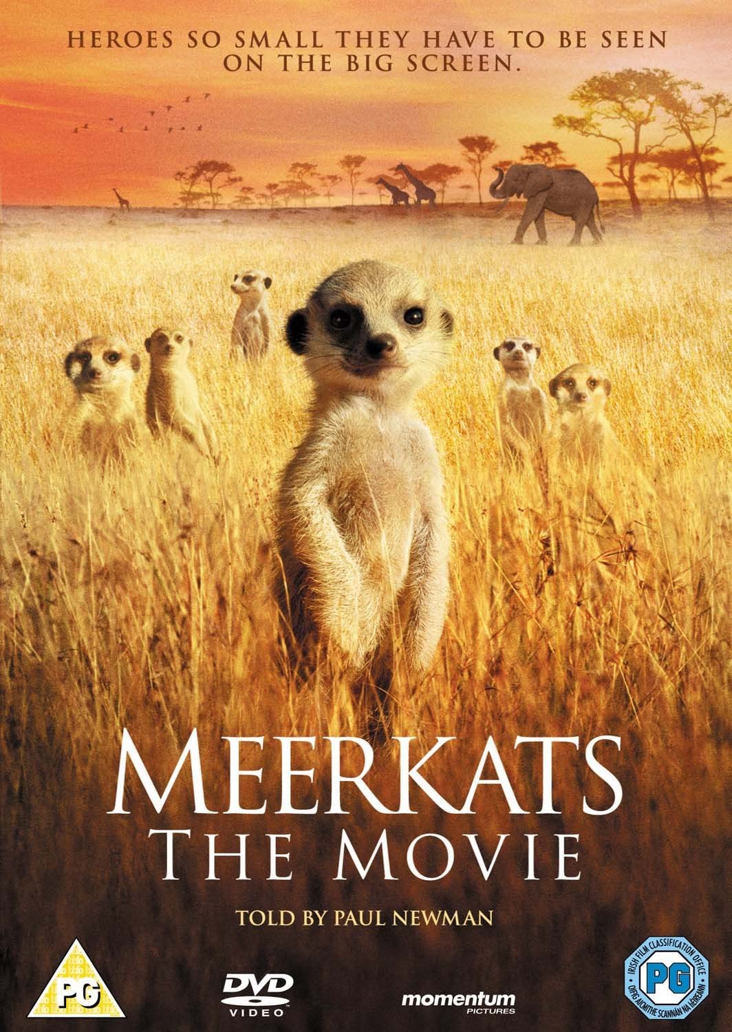 Meerkats - The Movie [DVD]