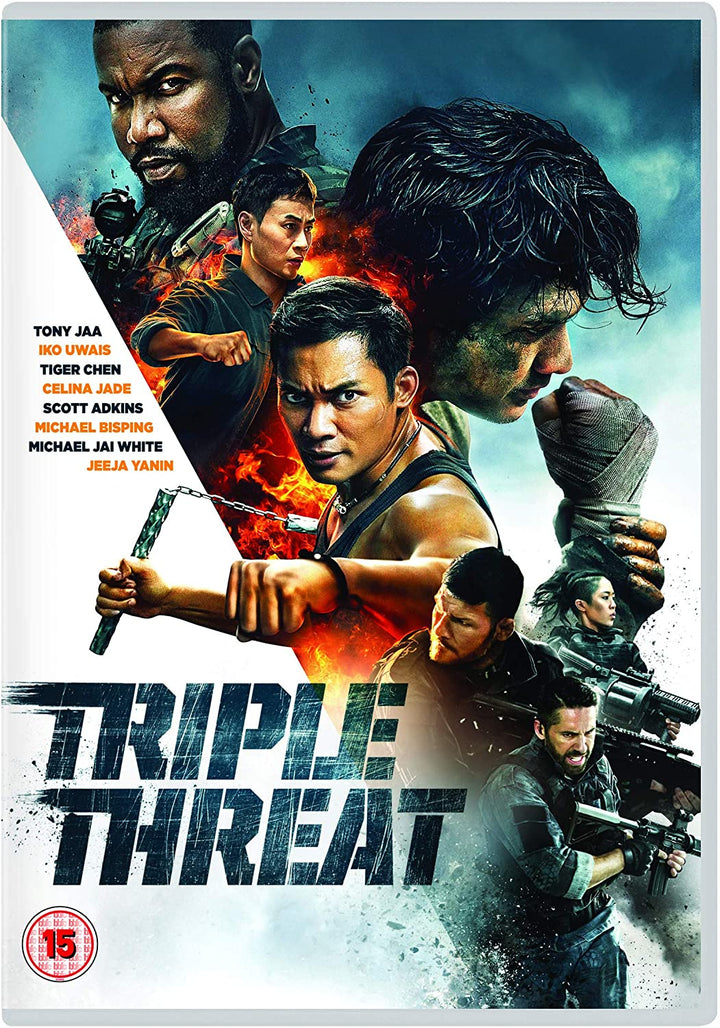 Triple Threat - Action/Martial Arts [DVD]