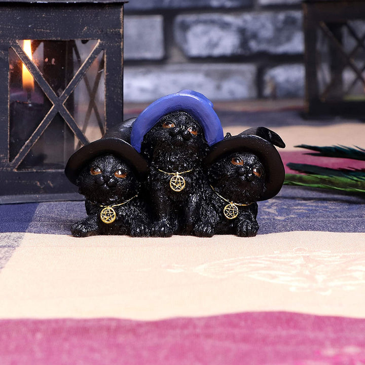 Nemesis Now Familiar Felines Black Cats in Witches Hats Figurine, 9.8cm