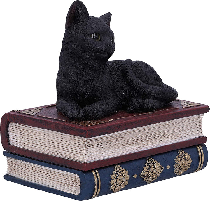 Nemesis Now Salems Spells Witches Familiar Black Cat and Spellbook Box, 11.7cm