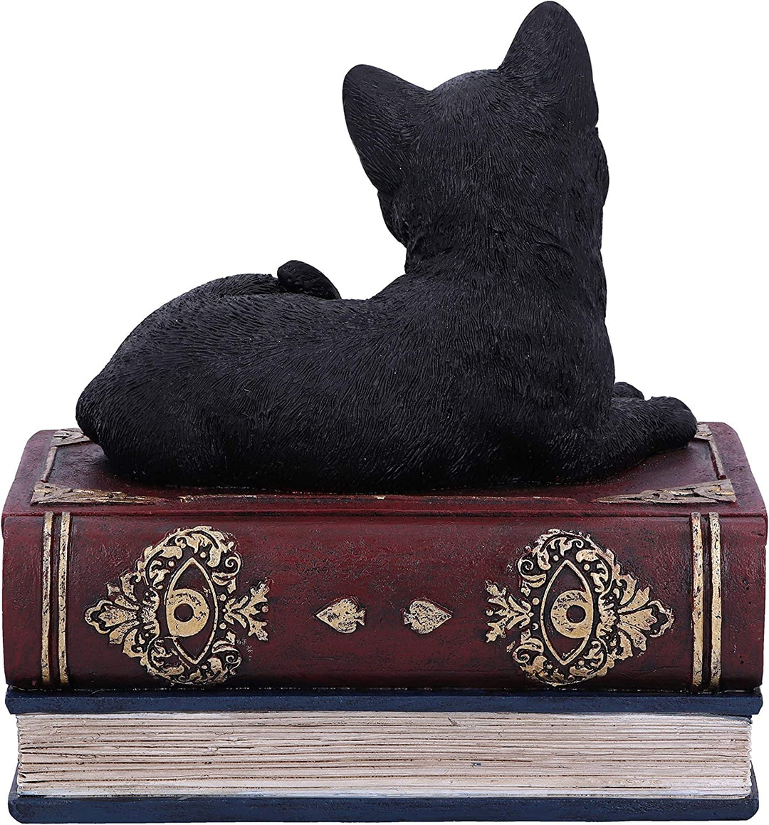 Nemesis Now Salems Spells Witches Familiar Black Cat and Spellbook Box, 11.7cm