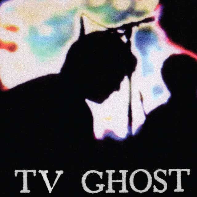 TV Ghost - Disconnect [Audio CD]