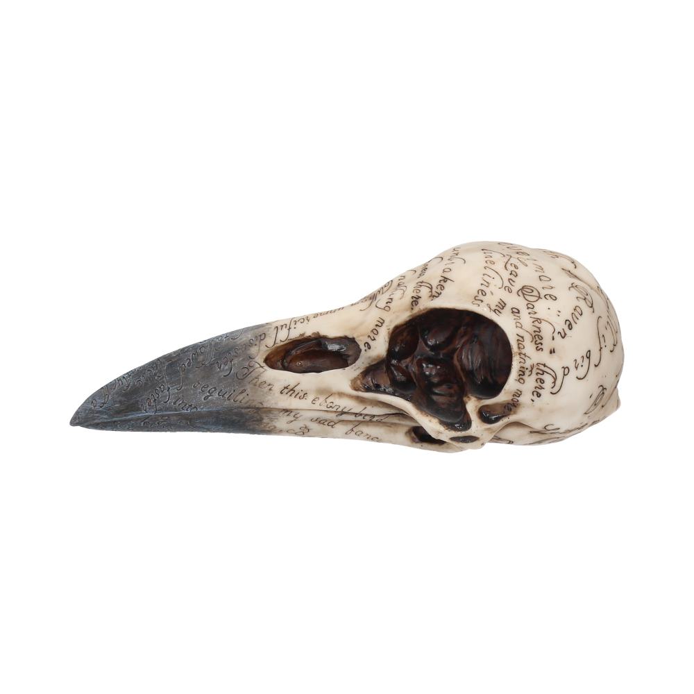 Nemesis Now Edgar's Raven Skull Figurine 25cm Ivory