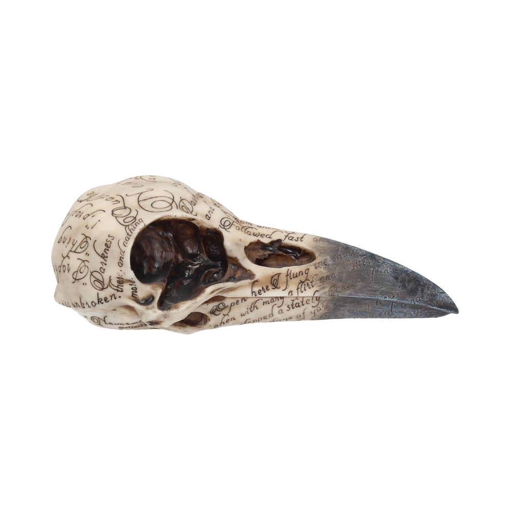 Nemesis Now Edgar's Raven Skull Figurine 25cm Ivory