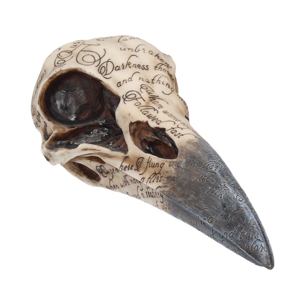 Nemesis Now Edgar's Raven Skull Figurine 25cm Ivory