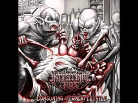 Intestinal Rot - Consuming Fermented Bile [Audio CD]